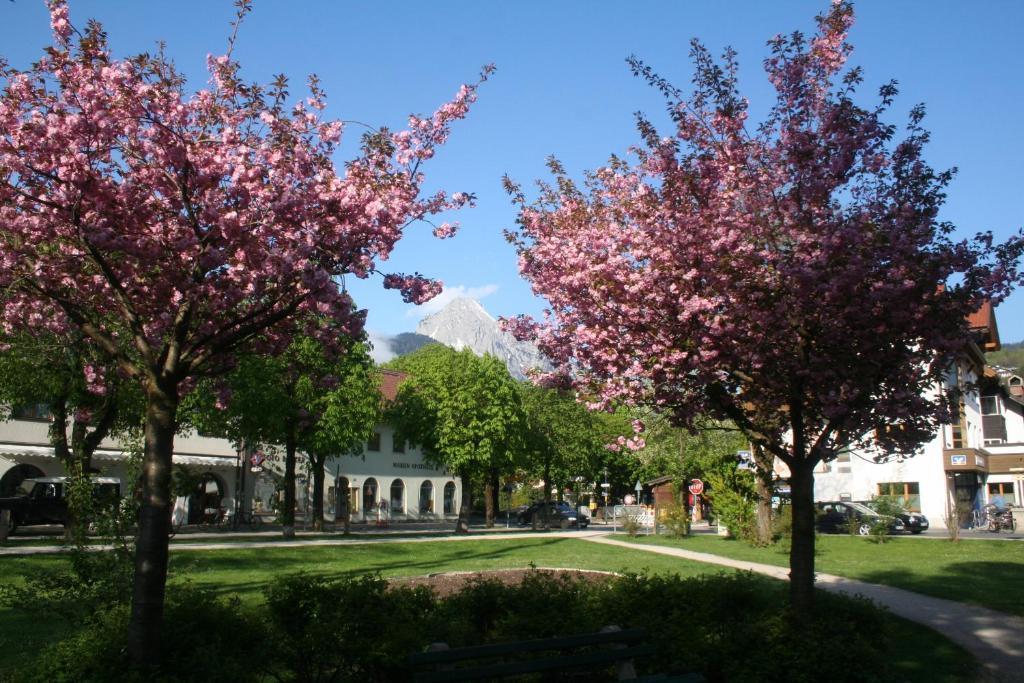 מוטנוואלד Gaestehaus Sonnenheim מראה חיצוני תמונה